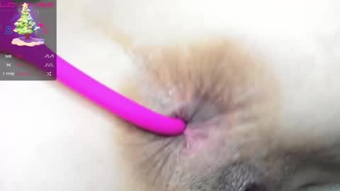 Lana online show from December 2025 11:17:01 AM