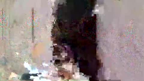 asian_cummer7 online show from April 2026 02:26:01 PM