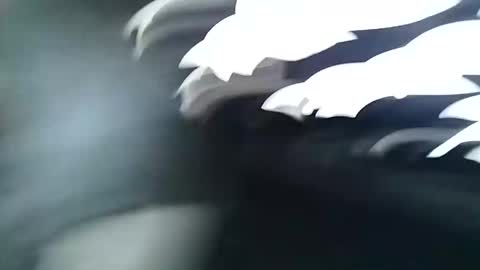 asiancreamy4u online show from December 2024 04:58:02 AM