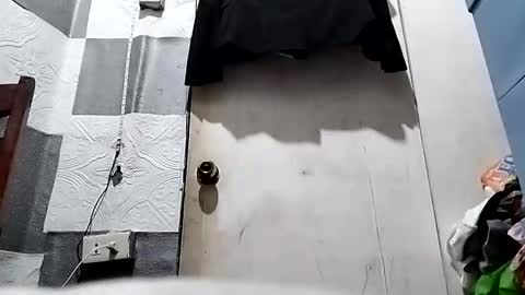 asiancreamy4u online show from January 2025 02:19:02 PM