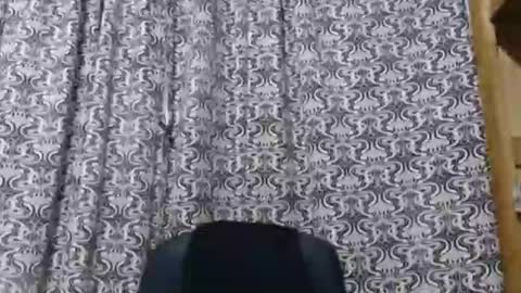 Snapshot of aslanne chatting on May 2026 09:45:01 PM aslanne online show from May 2026 09:45:01 PM