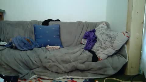 aspiringturtlegirl online show from February 2026 08:49:01 PM