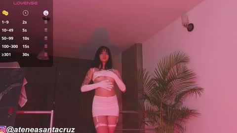 Snapshot of ateneasantacruz chatting on January 2025 02:19:01 AM Atenea  online show from January 2025 02:19:01 AM