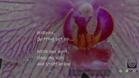 Atrena online show from April 2026 02:39:02 AM