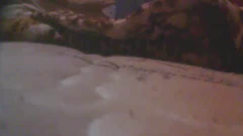 love spouse 768785628 online show from May 2026 01:24:02 AM