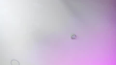 ...  ... online show from December 2024 12:41:02 AM