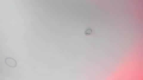 ...  ... online show from February 2025 11:53:01 PM