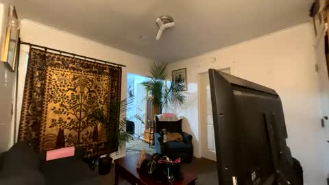 Destiny Nicole online show from April 2026 03:48:01 AM