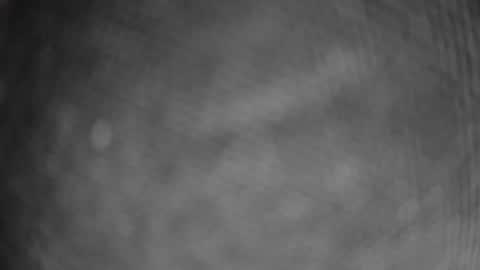 ausguy12excite online show from February 2026 01:11:02 AM