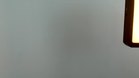 Snapshot of aussierubyrose chatting on July 2026 01:53:01 AM Ruby online show from July 2026 01:53:01 AM