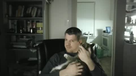 Avenger online show from February 2025 03:32:02 AM