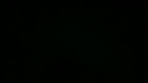 Snapshot of avg3131 chatting on December 2024 01:03:01 AM avg3131 online show from December 2024 01:03:01 AM