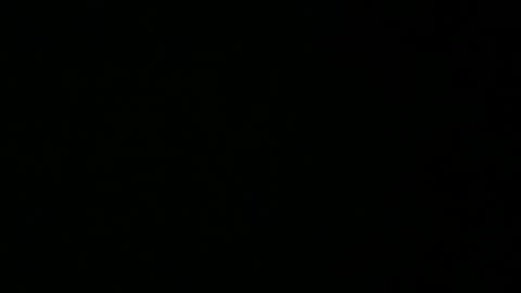 Snapshot of avg3131 chatting on January 2025 06:35:02 AM avg3131 online show from January 2025 06:35:02 AM