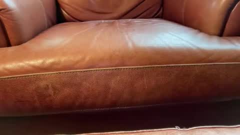 avgdiver online show from January 2026 08:23:01 PM