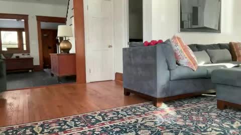 avgdiver online show from February 2026 08:59:01 PM