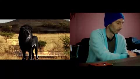 zer online show from November 2025 07:24:01 PM