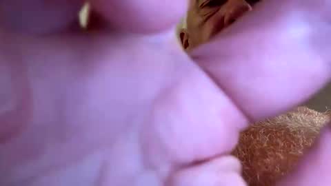 Snapshot of b_benito chatting on September 2025 07:52:02 PM benito online show from September 2025 07:52:02 PM