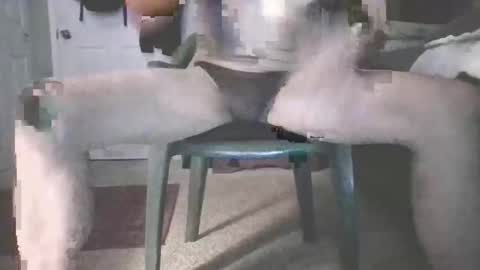 Snapshot of b_johnson420 chatting on November 2025 08:42:01 AM bjohnson420 online show from November 2025 08:42:01 AM