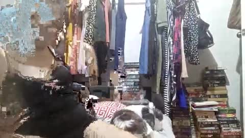 babe4u1234 online show from December 2024 11:33:01 AM