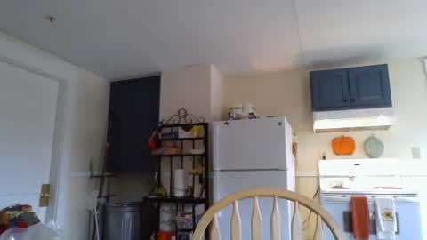 Snapshot of babiifern chatting on October 2025 02:29:02 PM Fern Browning online show from October 2025 02:29:02 PM