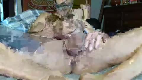 Snapshot of babyblue_1973 chatting on December 2024 03:00:02 PM Poindexxxter online show from December 2024 03:00:02 PM