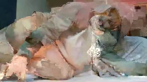 Snapshot of babyblue_1973 chatting on February 2025 07:08:02 PM Poindexxxter online show from February 2025 07:08:02 PM