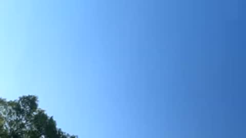 babyleggreg6 online show from May 2026 11:56:01 PM