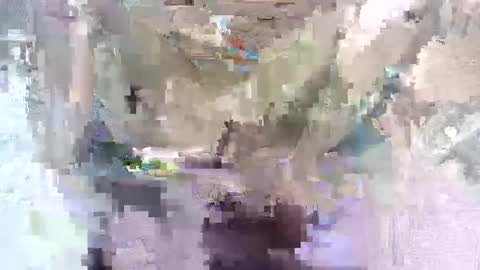 Snapshot of babymom1 chatting on March 2025 08:33:02 PM babymom1 online show from March 2025 08:33:02 PM