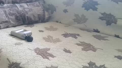 Snapshot of babymom1 chatting on March 2025 02:21:02 PM babymom1 online show from March 2025 02:21:02 PM