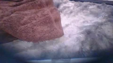 bacchusexx15 online show from March 2026 06:42:02 PM