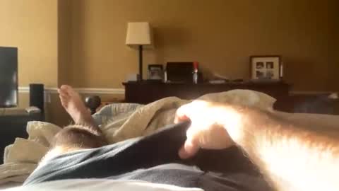 Backbay90 online show from December 2024 02:03:02 PM