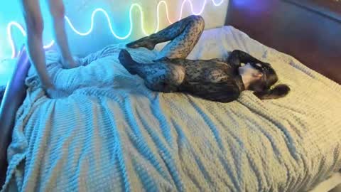 Snapshot of bada_b1ng chatting on December 2024 02:35:02 PM bada_b1ng online show from December 2024 02:35:02 PM