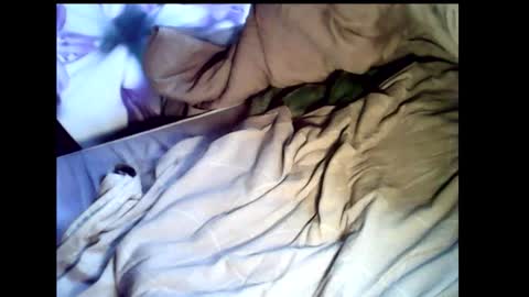 Snapshot of baghiraa chatting on February 2026 12:15:01 PM Baghira online show from February 2026 12:15:01 PM