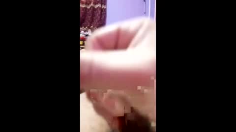 bahaa5555 online show from April 2026 03:32:02 PM