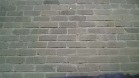 Snapshot of baielekker81578 chatting on January 2025 02:41:01 PM Chaterlain online show from January 2025 02:41:01 PM