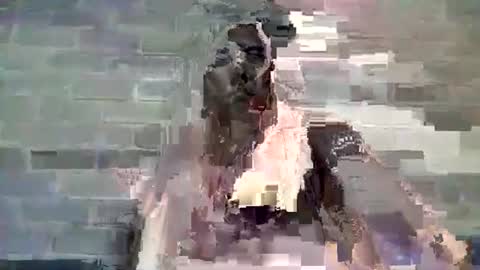 Snapshot of baielekker81578 chatting on January 2025 11:54:01 AM Chaterlain online show from January 2025 11:54:01 AM