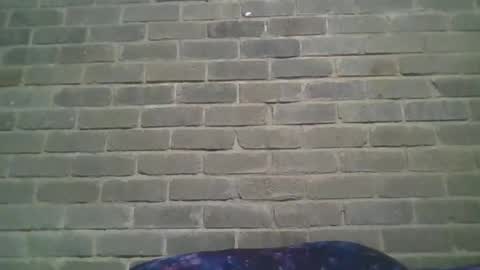 Snapshot of baielekker81578 chatting on January 2025 01:01:01 PM Chaterlain online show from January 2025 01:01:01 PM