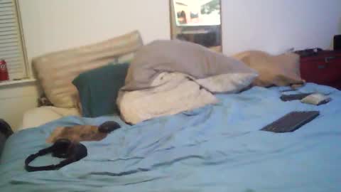 bakerbeachismygig online show from February 2026 01:57:01 AM