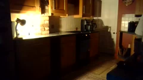 Ballet Bear online show from November 2025 07:27:02 PM