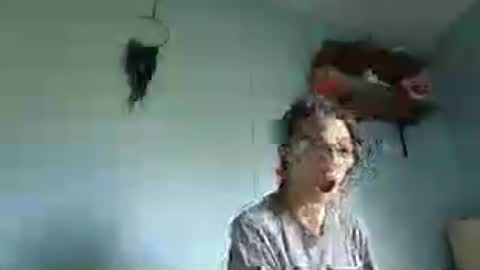 bamacpl80 online show from July 2026 02:46:01 PM