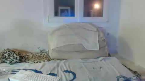 Snapshot of bambino6060 chatting on December 2024 04:42:01 PM bambino6060 online show from December 2024 04:42:01 PM