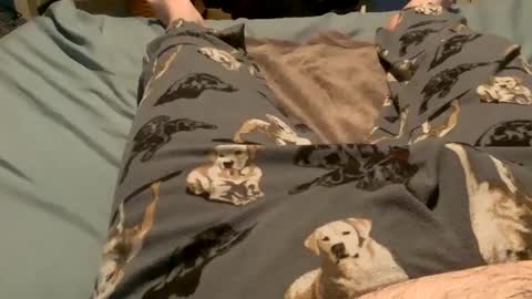 Snapshot of bandman862 chatting on December 2024 03:13:02 AM bandman862 online show from December 2024 03:13:02 AM