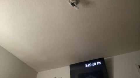 Snapshot of bankofchell chatting on March 2026 07:20:02 PM Chelly online show from March 2026 07:20:02 PM