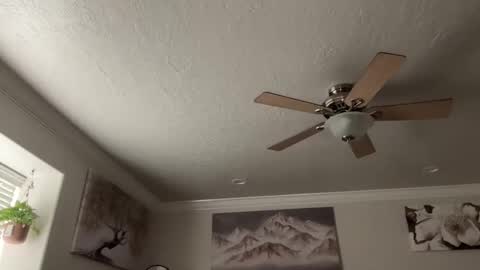 chicka online show from March 2026 11:10:01 PM