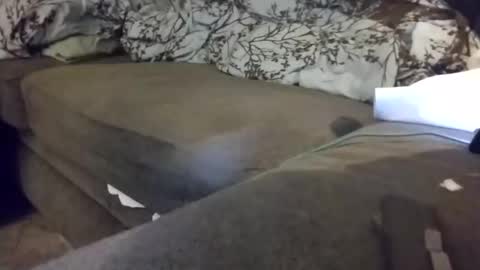 barrett4200 online show from January 2025 12:15:01 AM