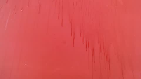 bayonette_black online show from November 2025 07:27:01 PM