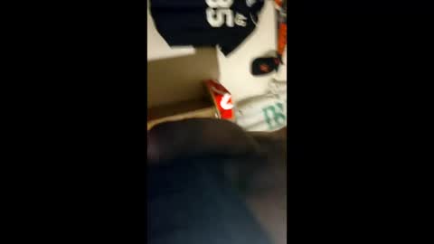 baz_esp online show from April 2026 11:29:01 AM