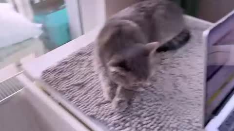 Snapshot of bb_lourels_ chatting on June 2026 05:48:02 PM Lourel I will be here on and online show from June 2026 05:48:02 PM