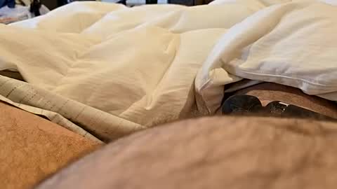 Snapshot of bbjj1970 chatting on November 2025 12:19:02 PM bbjj1970 online show from November 2025 12:19:02 PM