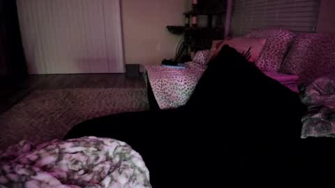 Shasta online show from April 2026 04:32:01 AM